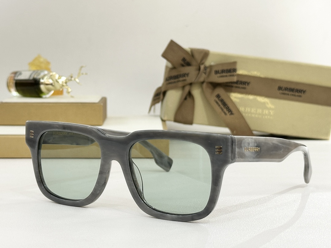 버버리 하이든 선글라스 BE4394 